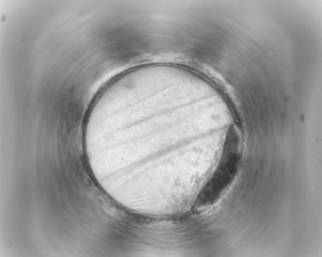 X0000088651174200706221603