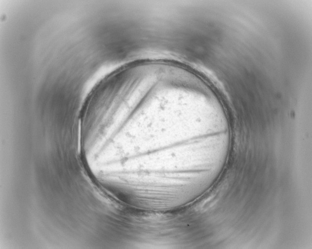 X0000088651175200706221603