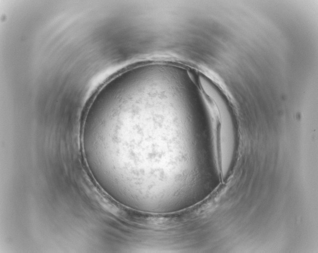 X0000088651176200706221603