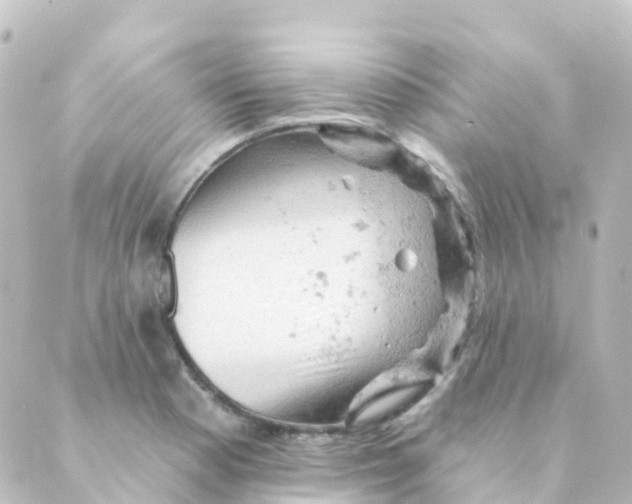 X0000088651177200706221603