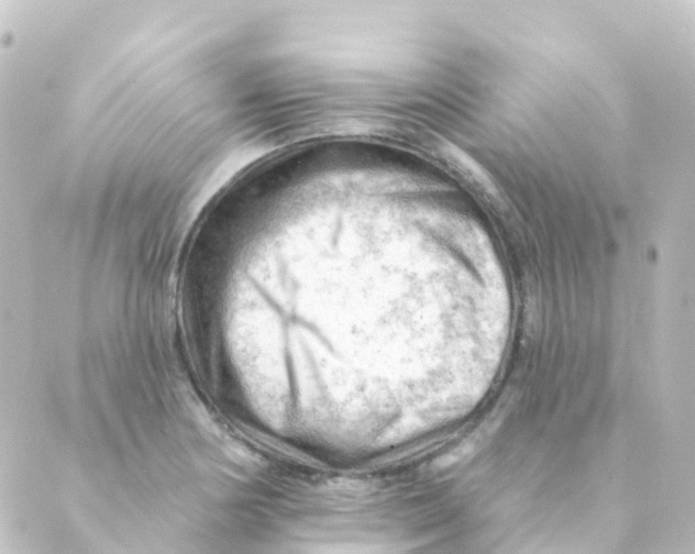 X0000088651178200706221603