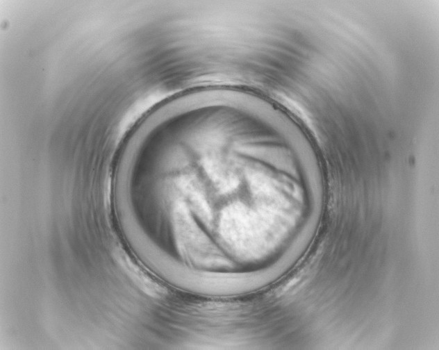 X0000088651179200706221603