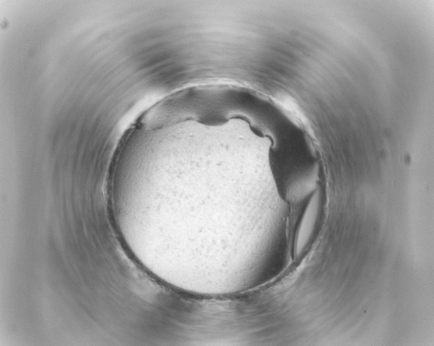 X0000088651181200706221603