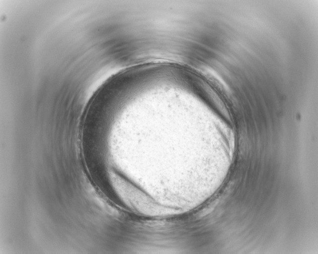 X0000088651182200706221603