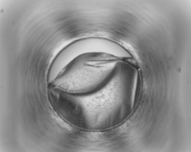 X0000088651184200706221603