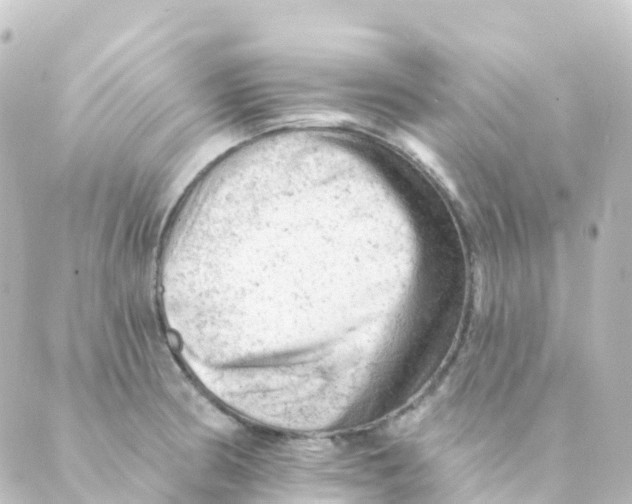 X0000088651186200706221603