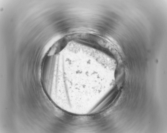 X0000088651188200706221603