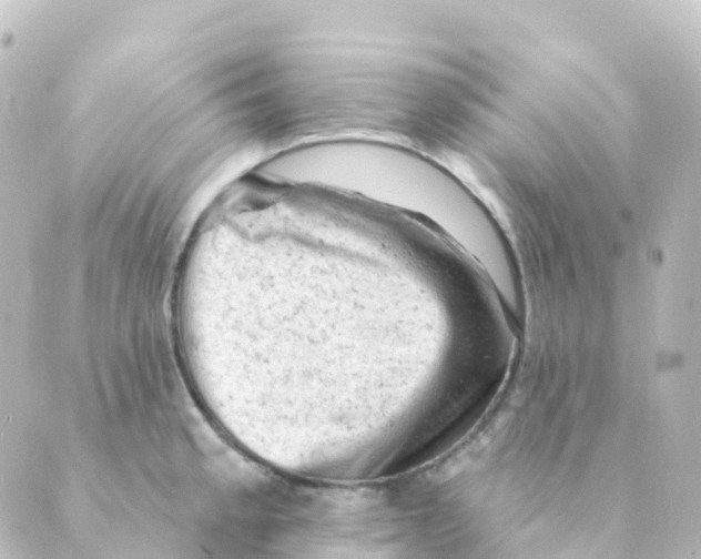 X0000088651189200706221603