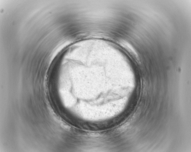 X0000088651190200706221603