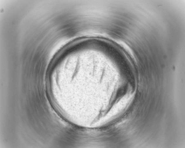 X0000088651191200706221603