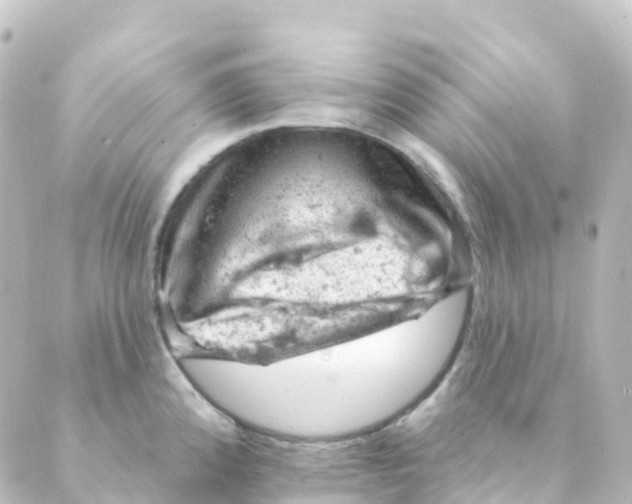 X0000088651192200706221603