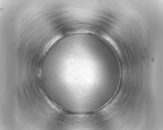 X0000088651193200706221603