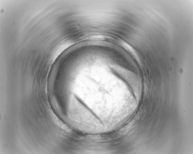 X0000088651194200706221603