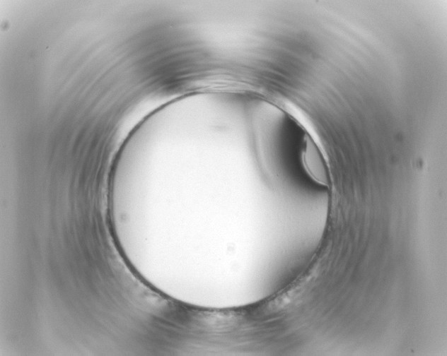 X0000088651195200706221603