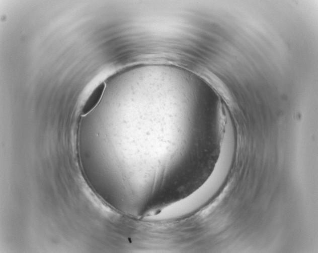 X0000088651196200706221603