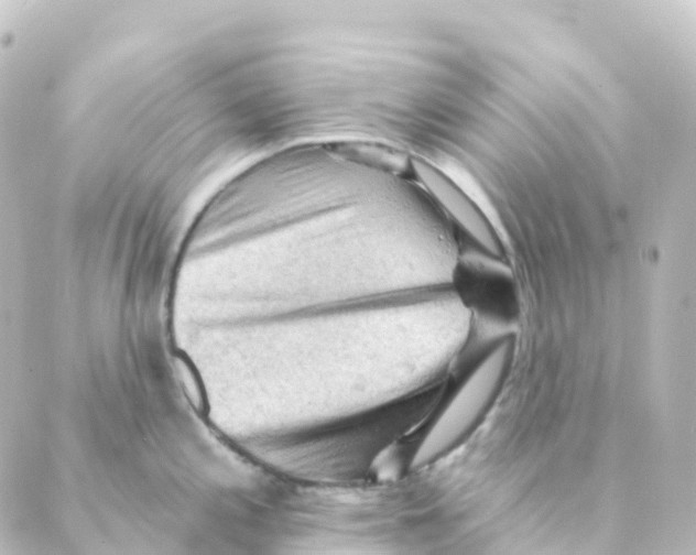 X0000088651197200706221603