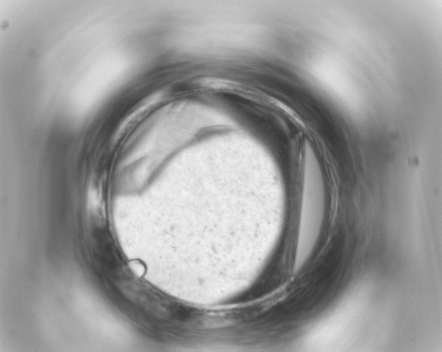 X0000088651198200706221603