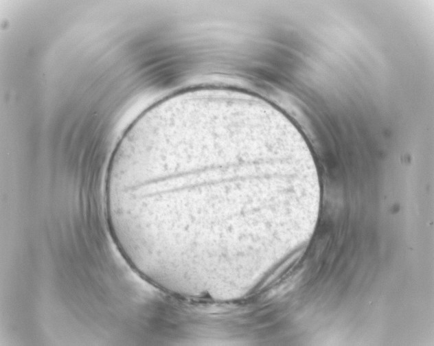 X0000088651199200706221603