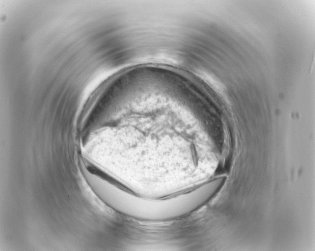 X0000088651200200706221603