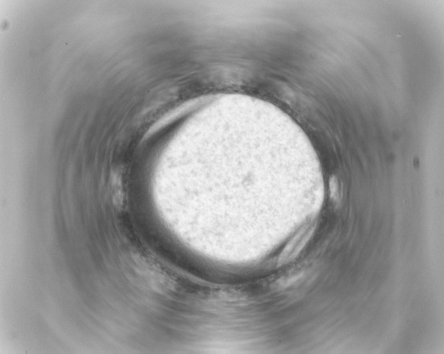 X0000088651203200706221602