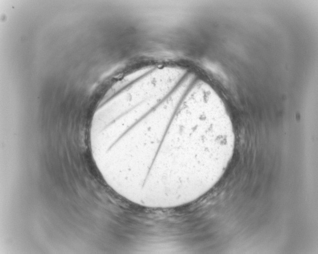 X0000088651205200706221602