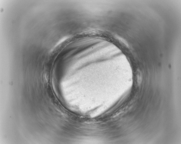 X0000088651206200706221602