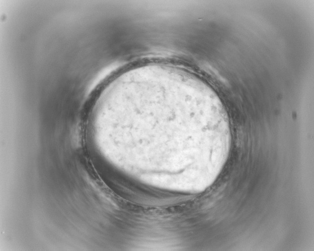 X0000088651208200706221602