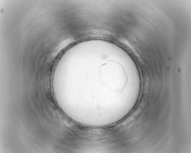 X0000088651211200706221602