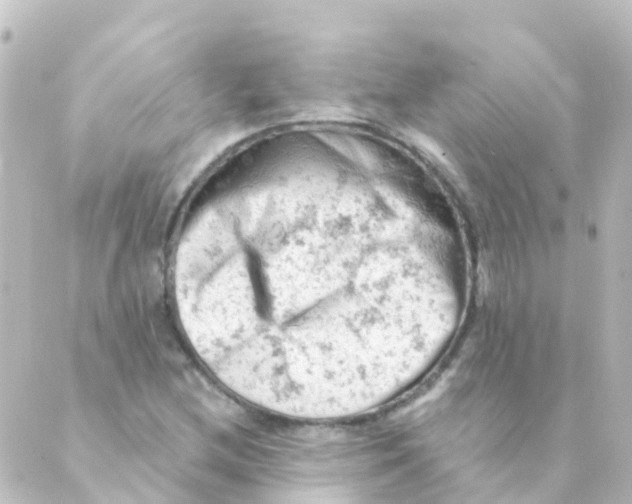 X0000088651212200706221602