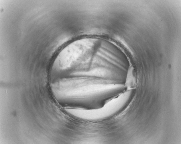 X0000088651213200706221602