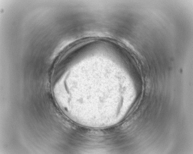 X0000088651215200706221602