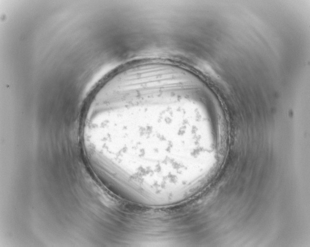 X0000088651216200706221602