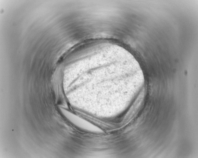 X0000088651217200706221602