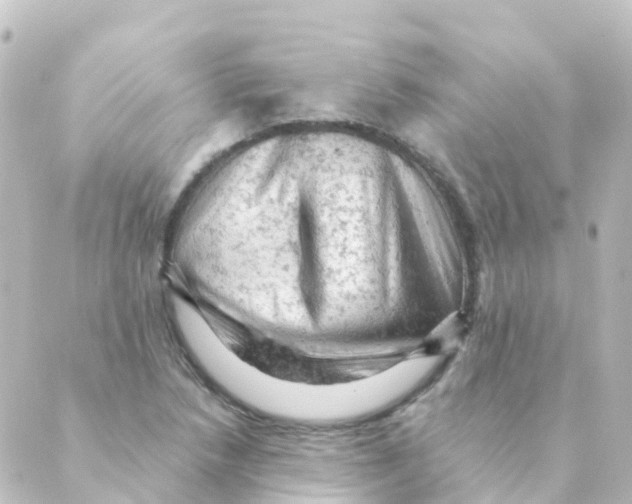 X0000088651218200706221602