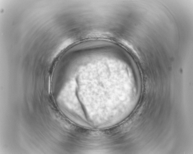 X0000088651219200706221602