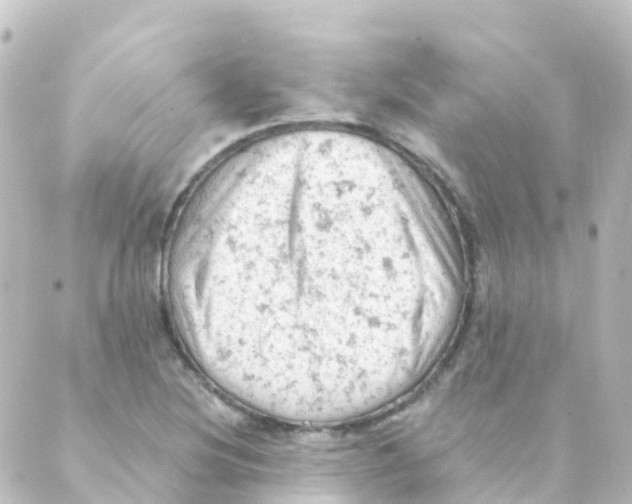 X0000088651220200706221602