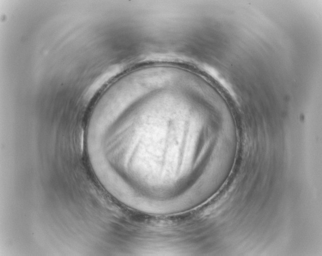 X0000088651221200706221602