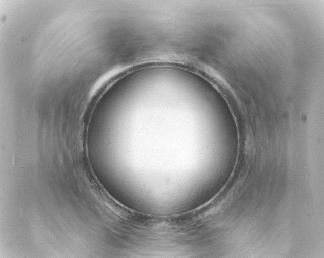 X0000088651222200706221602