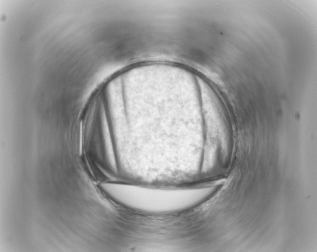 X0000088651223200706221602