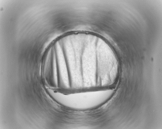 X0000088651224200706221602