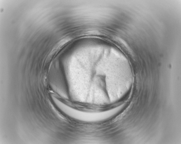 X0000088651225200706221602