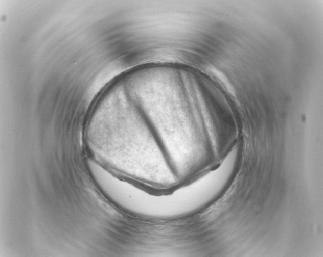 X0000088651226200706221602