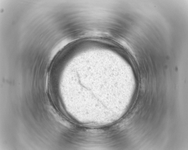 X0000088651227200706221602