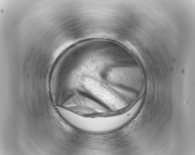 X0000088651230200706221602