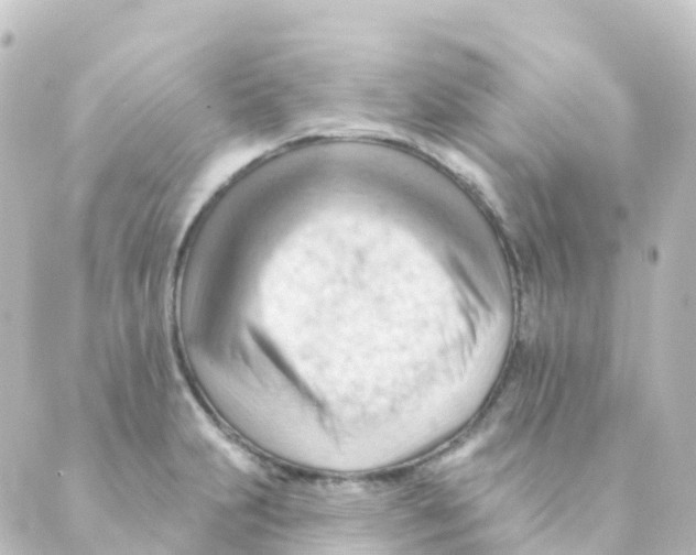 X0000088651231200706221602