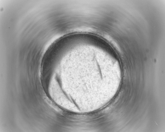 X0000088651232200706221602