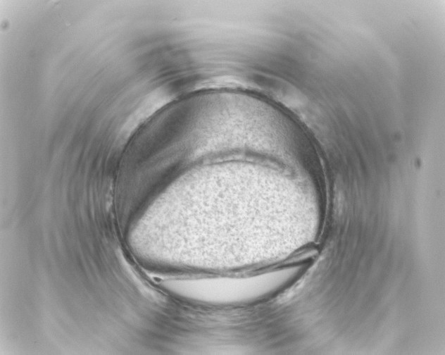 X0000088651233200706221602