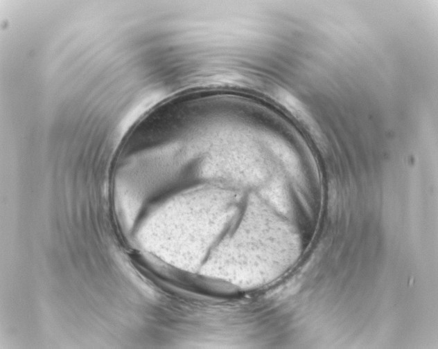 X0000088651234200706221602