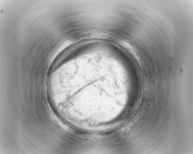 X0000088651235200706221602