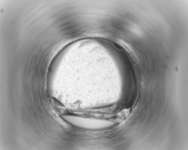 X0000088651236200706221602